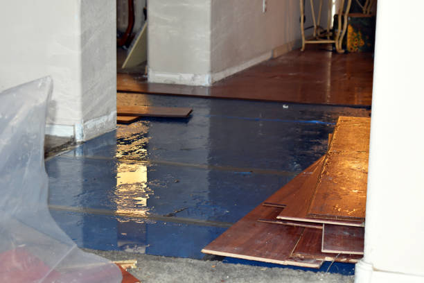 Professional Water Damage Restoration technician working in East Northport, NY
